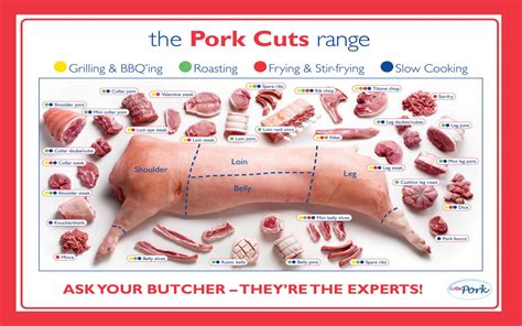 which of the following are wholesale cuts of pork